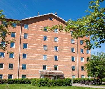 Plogvägen 105 - Photo 2