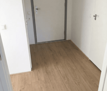 Grenenhout 8-421 - Photo 6