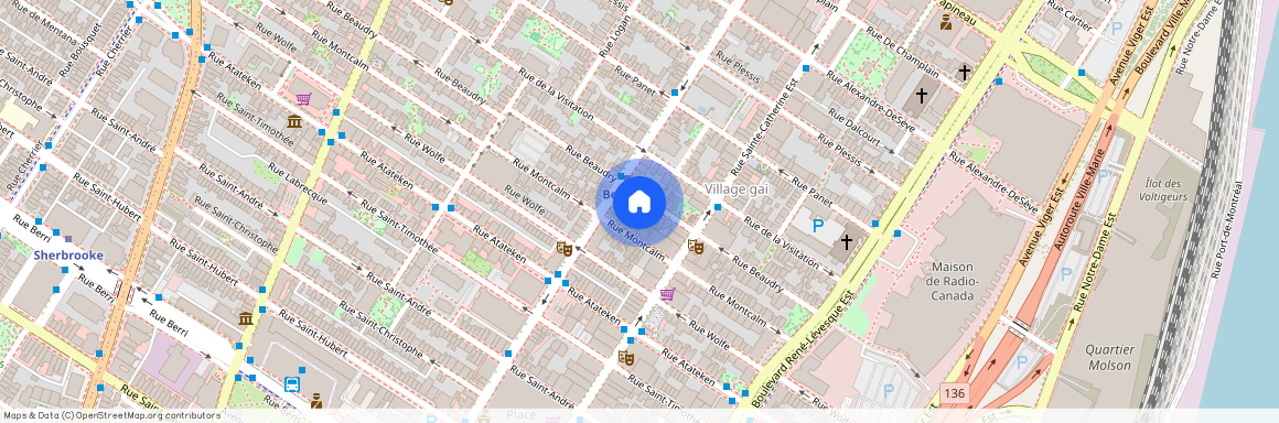1448, Rue Beaudry, 302, Montréal (Ville-Marie)