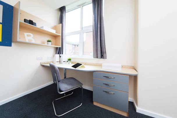 Extra Large Standard Single Studio - Photo 1