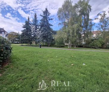 Pronájem byt 3 + kk, OV, ul. Čechova, Chomutov. - Photo 5