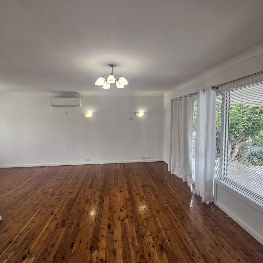 Loads of Space - Photo 1