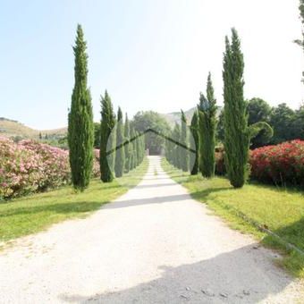 Bilocale in affitto - Photo 1