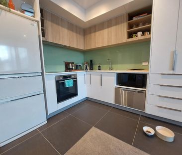 1 Bedroom mordern apartment - Handbag dog or Cat is welcome! - Photo 6