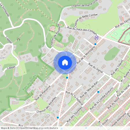 2300, La Chaux-de-Fonds, Montagne, 16