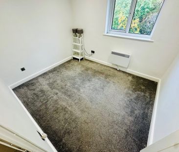 Larchdale Close - Photo 3