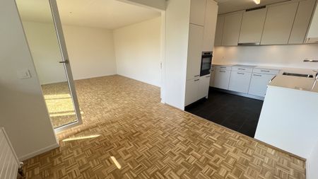 Urbanes Wohnen im Grünen: 2019 sanierte 3-Zimmerwohnung in Muttenz - Photo 3
