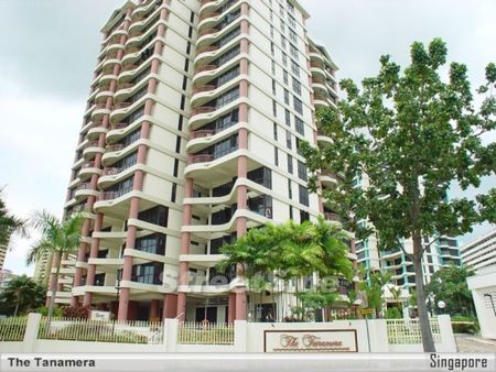 The Tanamera (D16), Condominium - For Rent - Photo 5