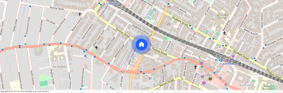 46 Thomas St, Ashfield NSW 2131