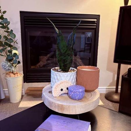 Appartement 4 1/2 - Photo 4