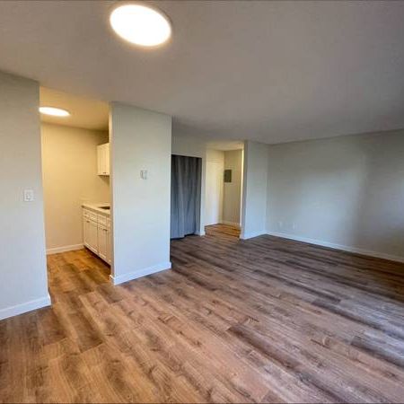 1 Bedroom Suite at 1022 Pandora Ave - Photo 3