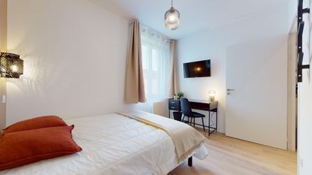 JOSEPH CHAPELLE A Roommate 3 Bedrooms at Lyon 8e - Photo 4