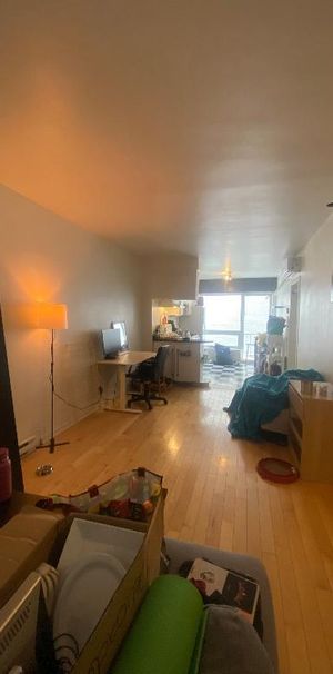 Grand 3 1/2 au cœur du Plateau - Photo 1