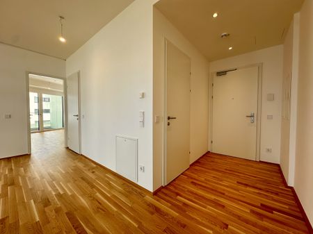 Welcome Home! Elevate your lifestyle at the Danubeview - Photo 3