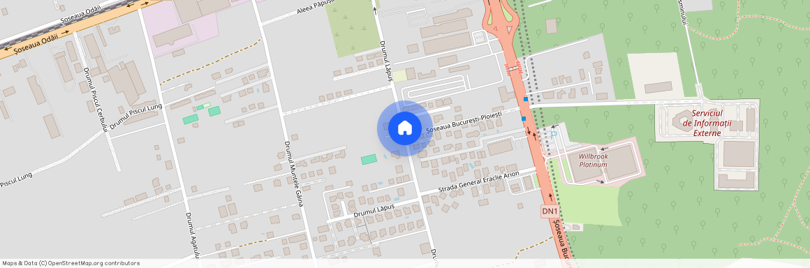 Strada Lapus, Baneasa, Sectorul 1, Bucuresti