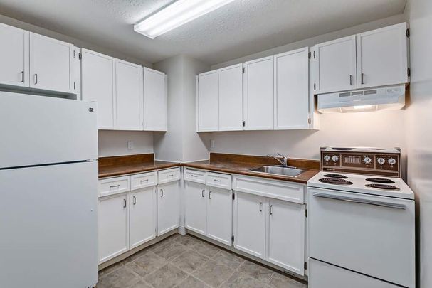 Premier Suite - 1 Bedroom - Photo 1