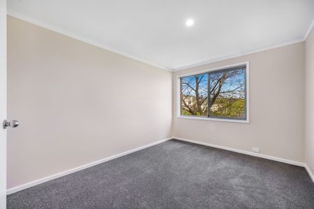 18 Aurora Close, Mawson ACT 2607 - House For Rent | Domain - Photo 2