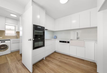 93 Birrell Street, Queens Park NSW 2022 - Terrace For Rent | Domain - Photo 2