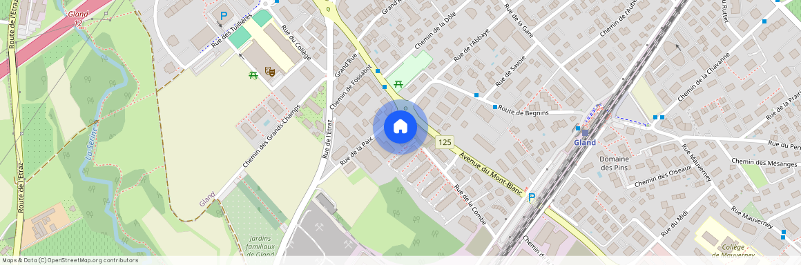 Rue De La Paix 1, 1196 Gland