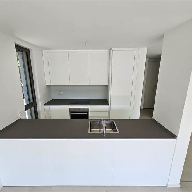 Pura, 3.5 locali con terrazzo e giardino - Photo 1