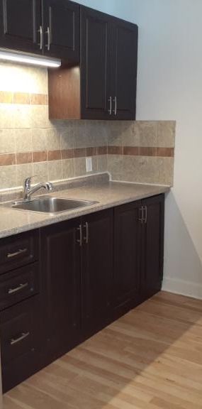 3 1/2 - Montréal (Ahuntsic) - 1 475 $/mois - Photo 1