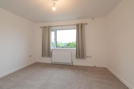 21 Scaddy Road, Downpatrick, BT30 9BW - Photo 5