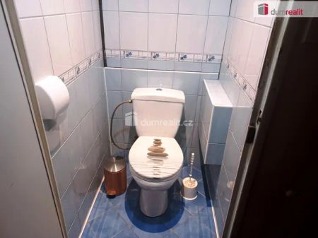 Pronájem bytu 4+1+L, Ústí n/L, Všebořice - Photo 5