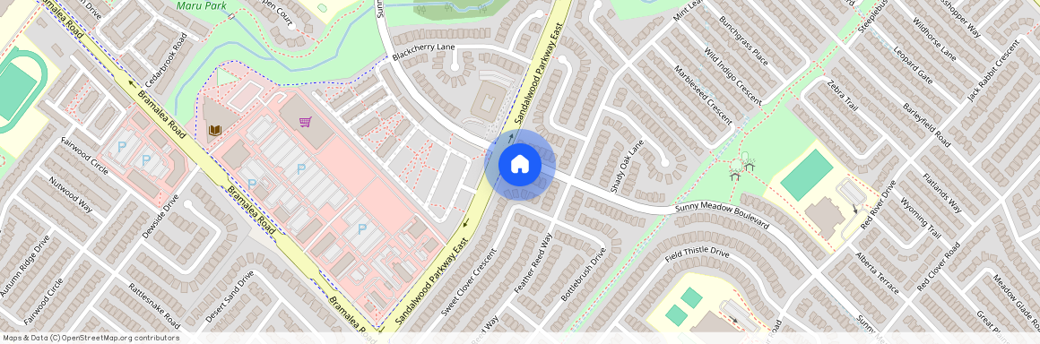 206, 206, Sunny Meadow, Blvd, Bsmt2, L6R 2Y7, Brampton