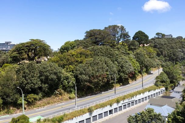 Redecorated Thorndon Townhouse - Photo 1