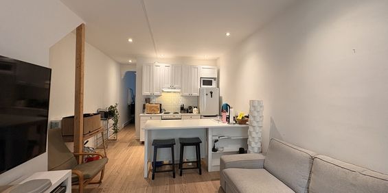 Appartement 1 Chambre - Parc Lafontaine - Photo 3