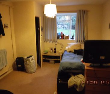 Student Properties to Let - Photo 2