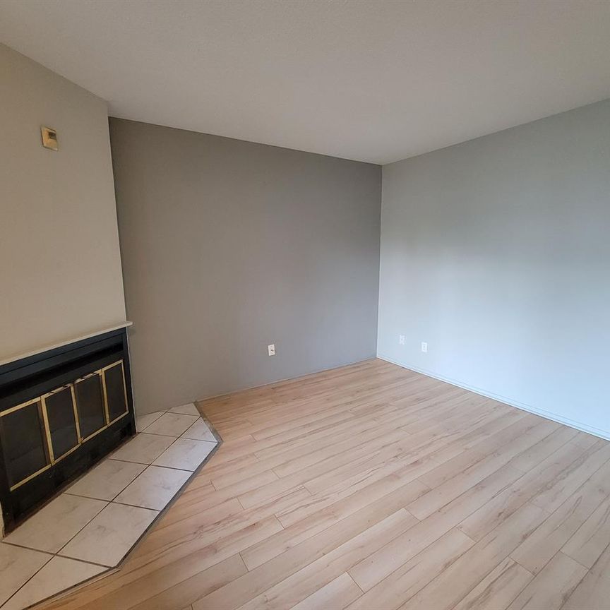217 Chemin De La Savane (Gatineau) Super Appartement 3 1/2, Dans Un Quartier Résidentiel Très Tranquille. - Photo 1