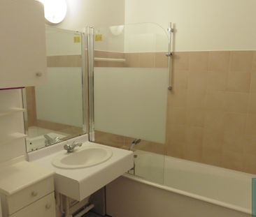Location Appartement 2 pièces 50m² ANTONY 92160 - Photo 5