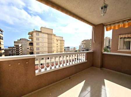 Elche / Elx - Photo 5