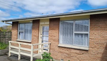 Sunny Studio Unit for Rent – Peaceful and Easy Living! Right in the centre of Mataura! - Photo 3