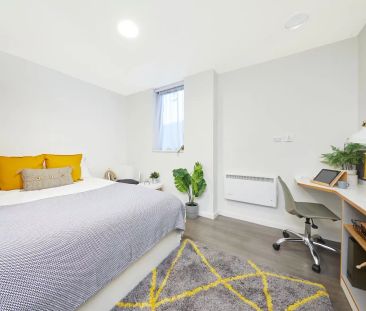 Gold Plus Studio - Photo 2