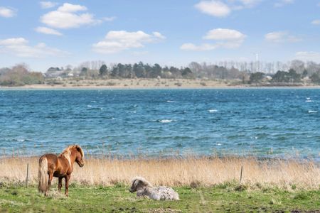 Annebergparken 40B, 2. tv, 4500 Nykøbing Sj - Foto 4