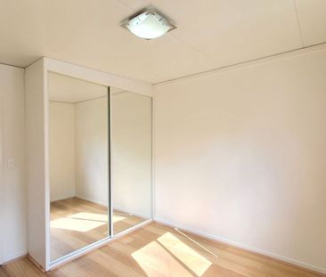 Refreshed and Affordable - Photo 4