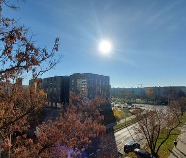 Sprawdź >>> Przytulne 2p na Słodowcu 38 m² - Photo 5