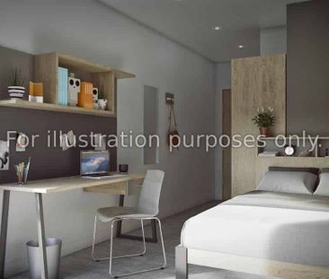 Standard Studio - Photo 6