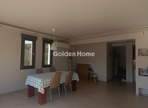 Μονοκατοικία για ενοικίαση - Μαρκόπουλο, - Photo 3