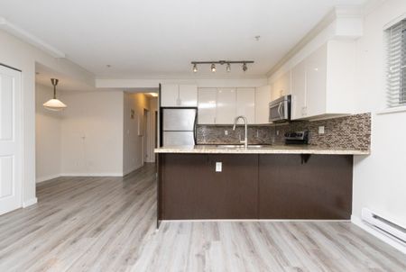 38-13239 Old Yale Road, Surrey - Photo 3