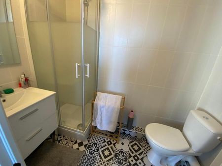 Location Appartement 1 pièce 20m² LYON 7ème - Photo 4