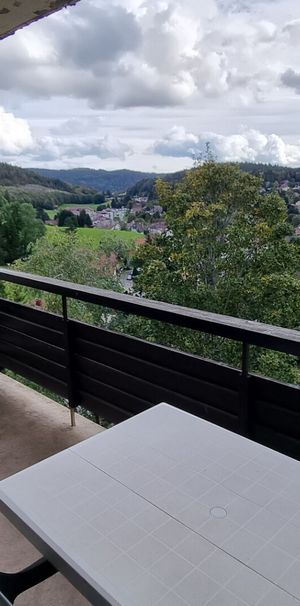 A LOUER APPARTEMENT T2 MEUBLÉ LES HOPITAUX NEUFS - Photo 1