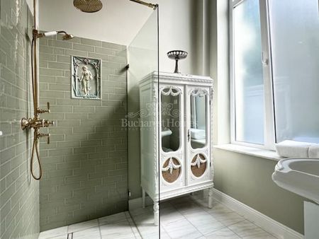 Exceptional Appartment in a NeoClassical Villa - Gradina Icoanei - Fotografie 5