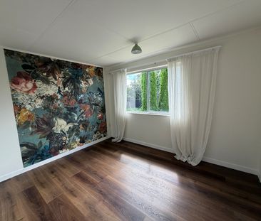 1103 Outram Road, Akina - Photo 4