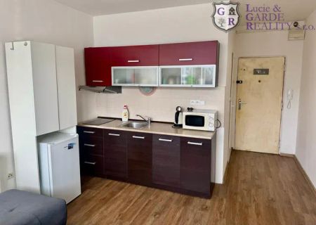 Pronájem, byt 1+kk, 27 m - Photo 4