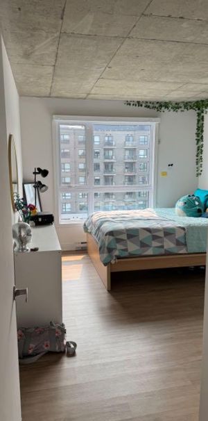 ***CESSION DE BAIL - RABAIS 3 PREMIERS MOIS*** - Photo 1