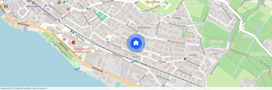 Mooshaldenstrasse 45, 8708, Männedorf