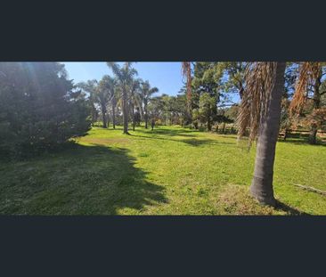 Land for Lease – Flexible Sizes up to 10,000m² - Photo 5